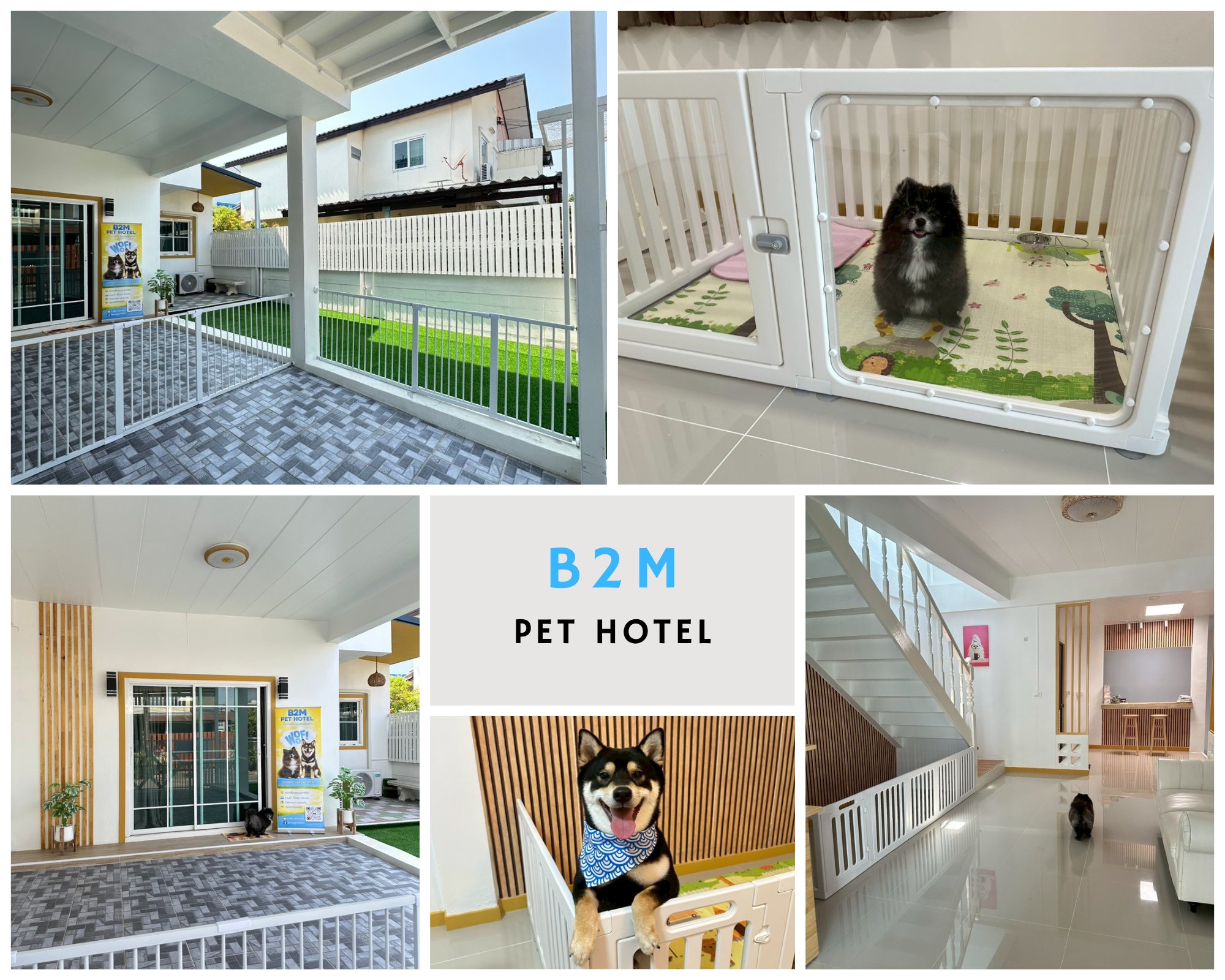 ชมสถานที่ B2M Pet Hotel