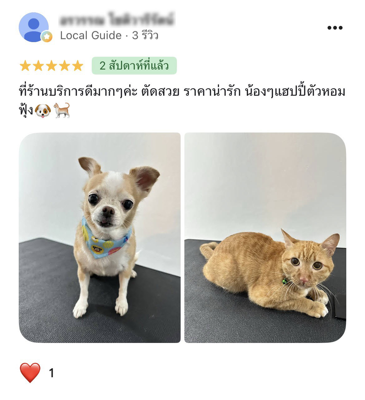 รีวิวจากลูกค้า